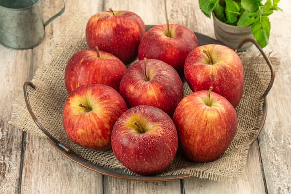 قیمت سیب مراغه